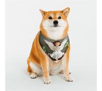 The Girl with Angel Wings Écharpe élégante triangulaire pour animal domestique, accessoire pour animal domestique, lavable pour fille, garçon, chien ou chat, taille L