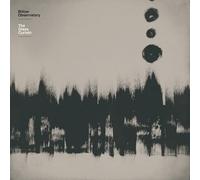 The Glass Curtain-Vinyle Jaune Translucide