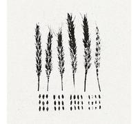 The Gleaners