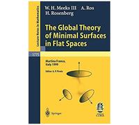 The Global Theory Of Minimal Surfaces In Flat Spaces