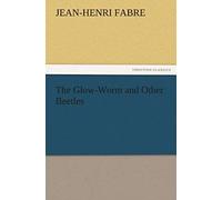 The Glow-Worm And Other Beetles