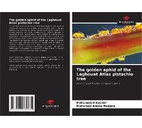 The Golden Aphid Of The Laghouat Atlas Pistachio Tree