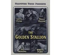 The Golden Stallion