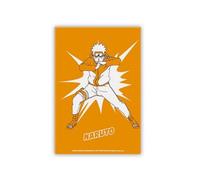 THE GOOD GIFT - Naruto Shippuden - Magnet - Pop Color - Naruto