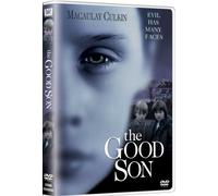 The Good Son