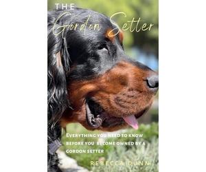 The Gordon Setter: Everything You Need To Know Before Becoming Owned by a Gordon Setter