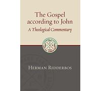 The Gospel According to John: A Theological Commentary