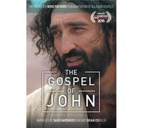 The Gospel of John Selva Rasalingam, David Harewood (Auteur)