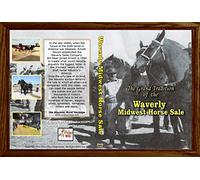 The Grand Tradition of the Waverly Midwest Horse Sale