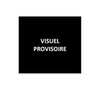 The Grand Wazoo – Vinyle marbré brun – Import – UMC