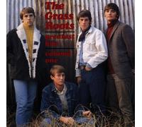 The Grass Roots: Greatest Hits, Vol. 1 by Grass Roots