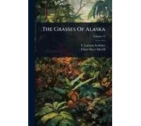 The Grasses Of Alaska