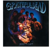 The Grateful Dead – Built to Last – Vinyle noir