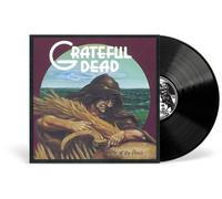 Wake of the Flood – Vinyle noir – 50e anniversaire – Rhino