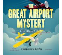 The Great Airport Mystery