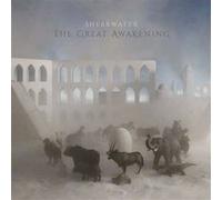 The Great Awakening
