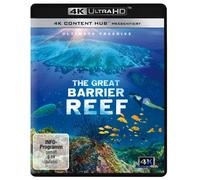 The Great Barrier Reef (4K UHD Blu-ray) Kazankova Marina