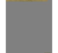 The Great Fire Of London