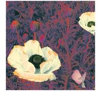 The Green Pajamas - Sunlight Might Weigh Even More [Cd]