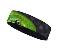 The Green Snake Bandeau de sport pour homme et femme, s'adapte à toutes les tailles de tête, ultra absorbant et antidérapant pour la course à pied, le yoga, la gym