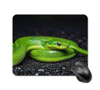 The Green Snake Tapis de souris carré portable avec base en caoutchouc antidérapant 20 x 25 cm Tapis de souris ultra fin pour ordinateur portable Accessoires de bureau