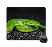 The Green Snake Tapis de souris carré portable avec base en caoutchouc antidérapant 25 x 30 cm Tapis de souris ultra fin pour ordinateur portable Accessoires de bureau