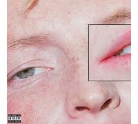 Greeting Committee - Dandelion [New Vinyl LP]