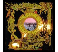 THE GROWLERS - HUNG AT HEART CD NEUF
