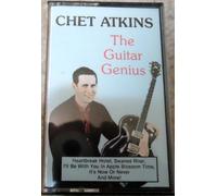 The Guitar Genius