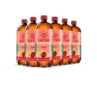 The Gutsy Captain Kombucha Peach Bio 6x1000ml