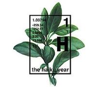 The Haiku Year Anna Grace, Douglas A. Martin, Grant Lee Phillips, Tom Gilroy (Auteur)