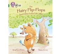The Hairy FlipFlops and other Fulani Folk Tales by Stephen Davies Paperback Book Stephen Davies, (Auteur)