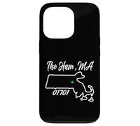 The Ham, MA 01701 Carte de l'État du Massachusetts Irish Pride Coque pour iPhone 13 Pro