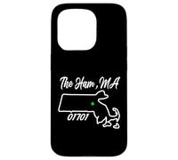 The Ham, MA 01701 Carte de l'État du Massachusetts Irish Pride Coque pour iPhone 15 Pro
