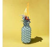 The Happy Fits - Under The Shade Of Green [Vinyl]