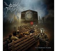 The Harvest Floor