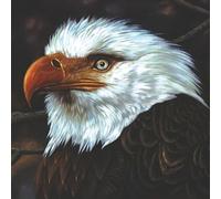 The Hawk Is Howling Vinyle Blanc