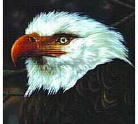 The hawk is howling CD