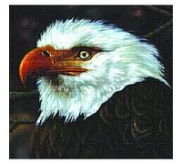 The hawk is howling E