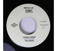 THE HAZIES - THE HAZIES 45 RPM TURNING JAPANESE / KUNG FU FIGHTING