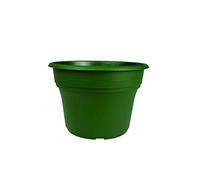 The HC Companies Akro-Mils PA10000B71 Panterra Pot Vert 25,4 cm
