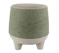 The HC Companies Jardinière, Sauge, 20,3 cm