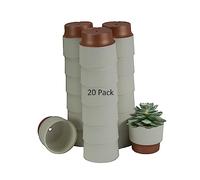 The HC Companies Lot de 20 Pots de Fleurs succulentes Bisque à la Vanille, 6,3 cm