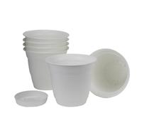 The HC Companies Lot de 6 jardinières, Blanc, 20,3 cm