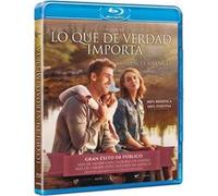The Healer / Lo que de verdad importa (Blu Ray) G