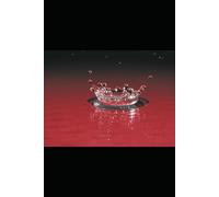 The Heart You Bring to the World