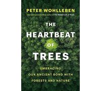 The Heartbeat of Trees: Embracing Our Ancient Bond With Forests and Nature