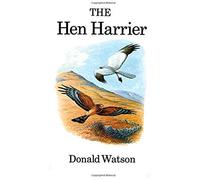 The Hen Harrier
