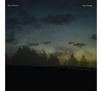 Steve moore - The henge [Import]