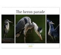 The heron parade (Wall Calendar 2026 DIN A2 landscape), CALVENDO 12 Month Wall Calendar: Various pictures of a heron in a pond